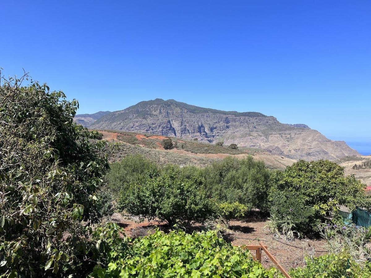 Villa Almagre Gáldar Εξωτερικό φωτογραφία